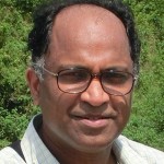 Prof. Mahesan Niranjan 